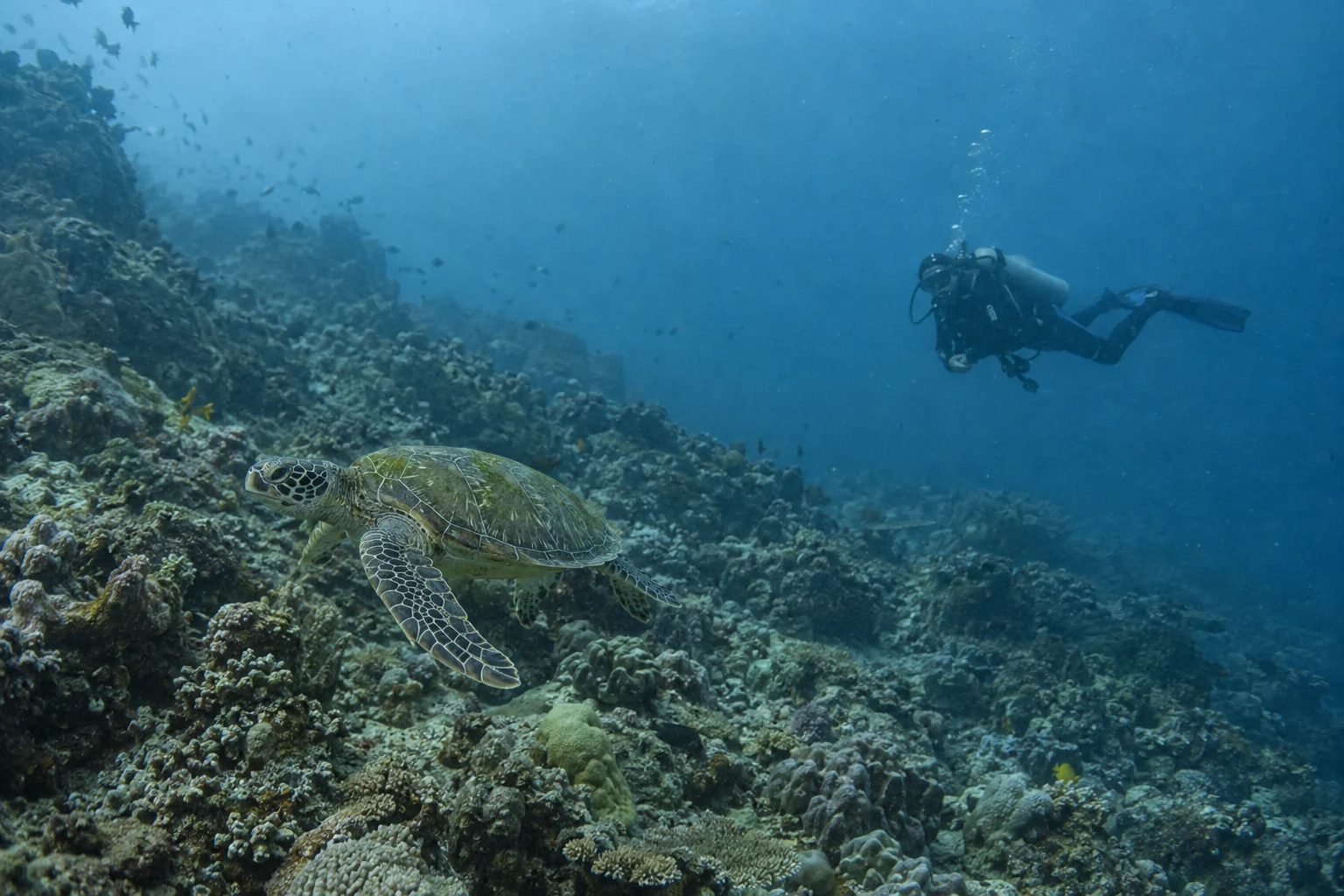AI-generated illustration of a turtle and a distant observing diver